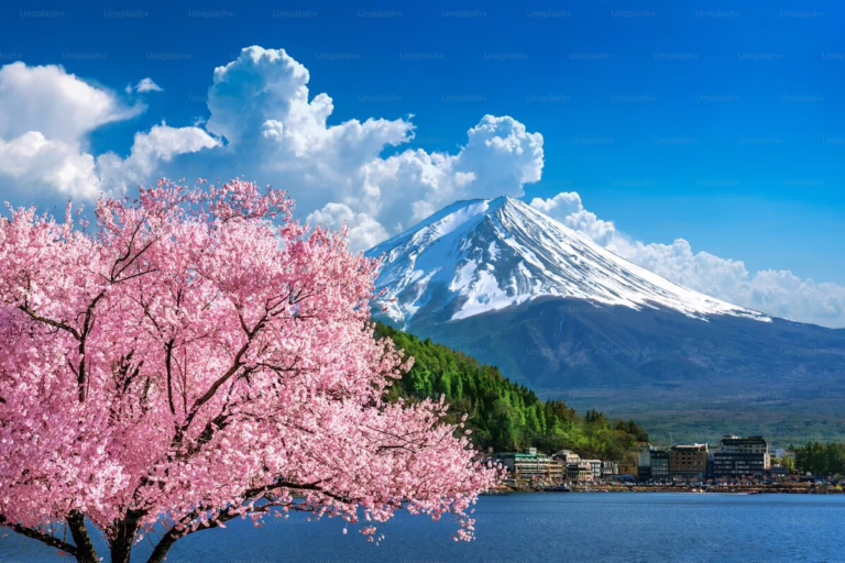 Why Japan